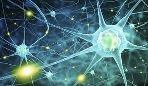 Dr Lazar Neuropathy Ann Arbor